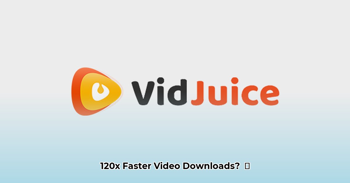 vidjuice